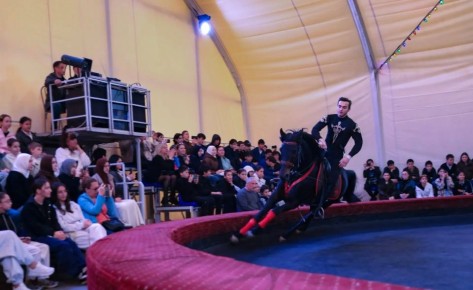 �����-������������� ����� ������� ����� ����� ��������� ������