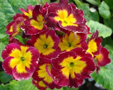 ������� �������: ��� ��������� ����� �������� ��� � ������� ������� ������