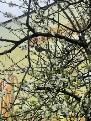 ������ ����, �����������!