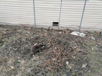 �������� ���� � ����: ��� ������, ����� ����� ��������