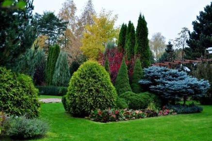 ����� ������� ���������, ������� ����� ��������� ���������� ������ ����