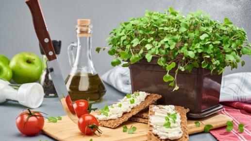 �����������: ��������� ������ � ������ ������� ��� ��������