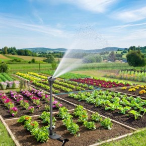 ������ ������� ��� ���������: ��� ���������� �������� ������ �������