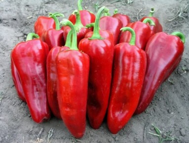 ����� ��������: ������������� ������ ��� ������ �������