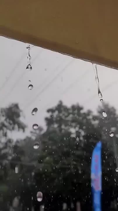 ������ ����, ������!. �� ������������ ��������� �������� ������, ����������� ������� 75% ����������� +9� +14� �15-� ������� ������ ���� ����������� ��� � ������������ ������� ������ ! @region15_ru