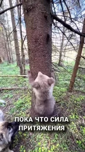 ��������� ��������� ������ ������� ����� �� �������� � ������ � �������� ��������� � ���������� ����� ����� �����