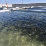 Производство рыбы увеличилось в Северной Осетии в 2,5 раза в первом квартале 2026 года