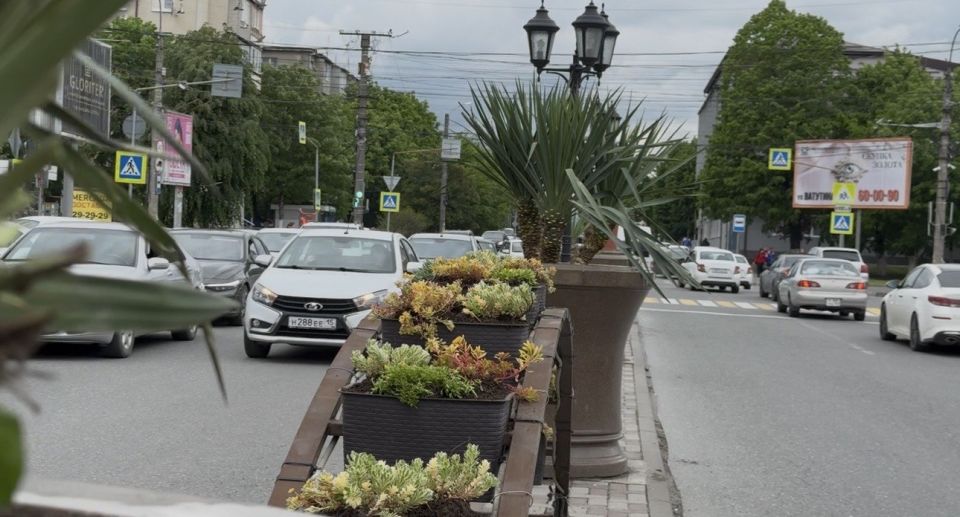 Зеленый островок на Хаджи Мамсурова