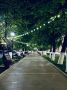 ���� ���� ��� ���. ������ ����, �����������