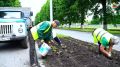 Тагетисы, цинерарии, амаранты - более 720 тысяч цветов высадят во Владикавказе