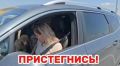 За прошедшую неделю сотрудниками Госавтоинспекции Северной Осетии за нарушение правил применения ремней безопасности к ответственности привлечено 5068 водителей транспортных средств