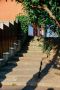 ������ ����, �����������!