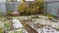 Дела на даче: что нужно успеть сделать до первых морозов