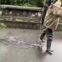 Собака-выживака десять дней провела на островке посреди Терека, пока её пытались спасти