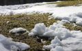 Мартовские ошибки дачников: как не разрушить начало сезона