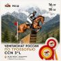 Северная Осетия принимает лучших всадников России
