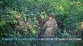 Более 150 человек вышли на уборку Комсомольского парка