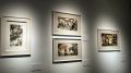 Выставка Сергея Савлаева «Сезон охоты на плюшевых мишек» открылась в Культурном центре Художественного музея имени Махарбека Туганова
