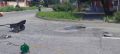 Во Владикавказе устранили повреждение на дороге