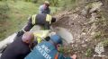 Сотрудники МЧС России спасли теленка