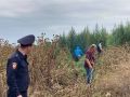 Полицейские Правобережного района совместно с представителями местной администрации уничтожили в с. Цалык дикорастущую коноплю на территории площадью 2,5 гектара