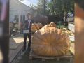ИЗ СВЕЖЕГО НОМЕРА. . Серебро гигантской тыквы