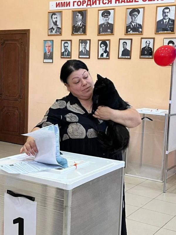 Пушистые наблюдатели: кошка Мурка и пес Шарик взяли под наблюдение выборы в Кадгароне Пушистые наблюдатели: кошка Мурка и пес Шарик взяли под наблюдение выборы в Кадгароне