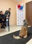 Пушистые наблюдатели: кошка Мурка и пес Шарик взяли под наблюдение выборы в Кадгароне