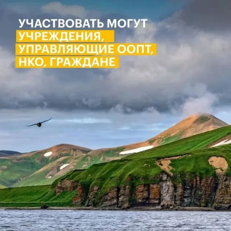 Стартовал конкурс экологических проектов президентского фонда природы с грантовым фондом 1 млрд рублей Стартовал конкурс экологических проектов президентского фонда природы с грантовым фондом 1 млрд рублей