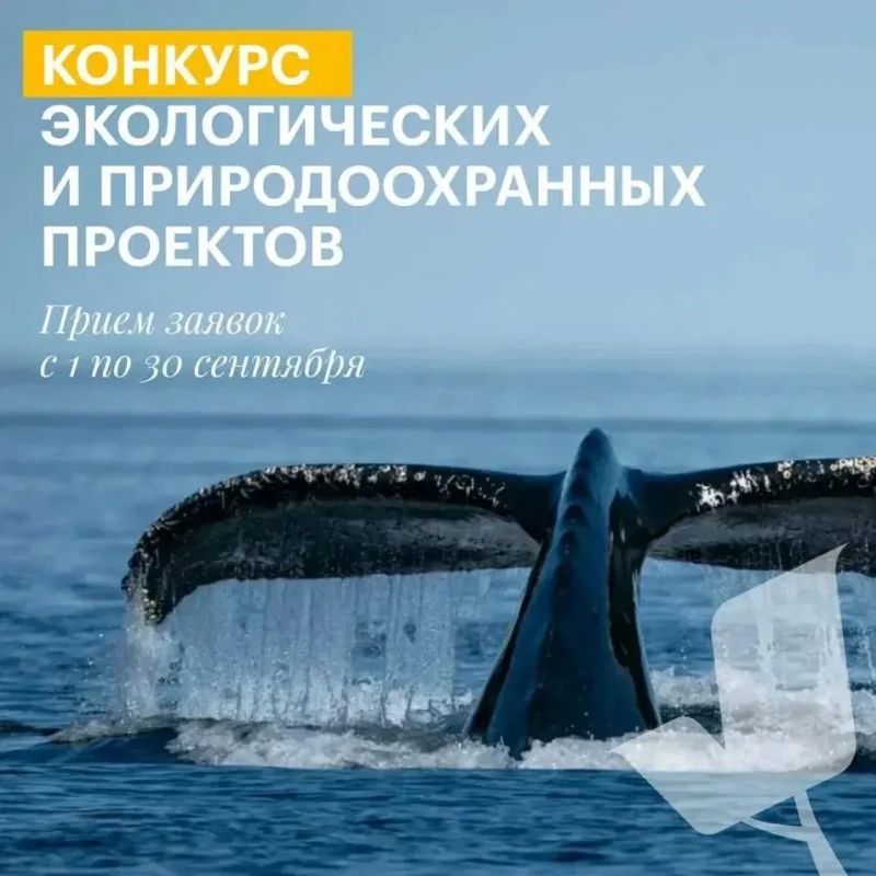 Стартовал конкурс экологических проектов президентского фонда природы с грантовым фондом 1 млрд рублей Стартовал конкурс экологических проектов президентского фонда природы с грантовым фондом 1 млрд рублей