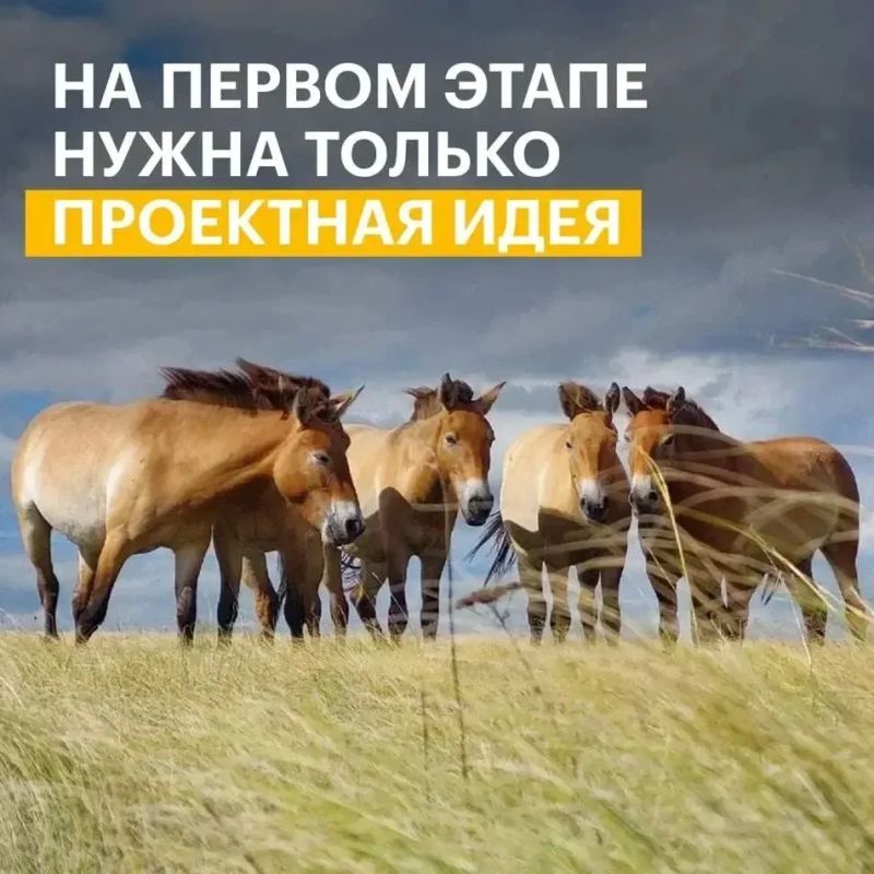 Стартовал конкурс экологических проектов президентского фонда природы с грантовым фондом 1 млрд рублей Стартовал конкурс экологических проектов президентского фонда природы с грантовым фондом 1 млрд рублей