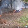 Осенний дым над городом. Во Владикавказе осень все активнее вступает в свои права: деревья покрываются желтой листвой, и по утрам тротуары усыпаны первыми опавшими листьями