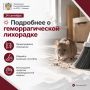 Подробнее о геморрагической лихорадки