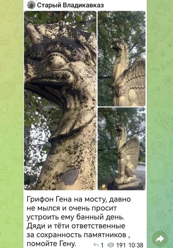 ВЫ/МЫ. . Вы написали в одном из городских пабликов: «Грифон Гена на мосту, давно не мылся и очень просит устроить ему банный день» ВЫ/МЫ. . Вы написали в одном из городских пабликов: «Грифон Гена на мосту, давно не мылся и очень просит устроить ему банный день»