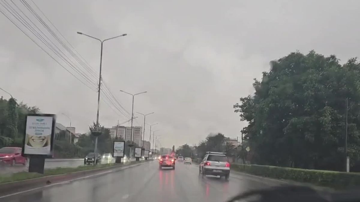 Доброго утра всем участникам дорожного движения!