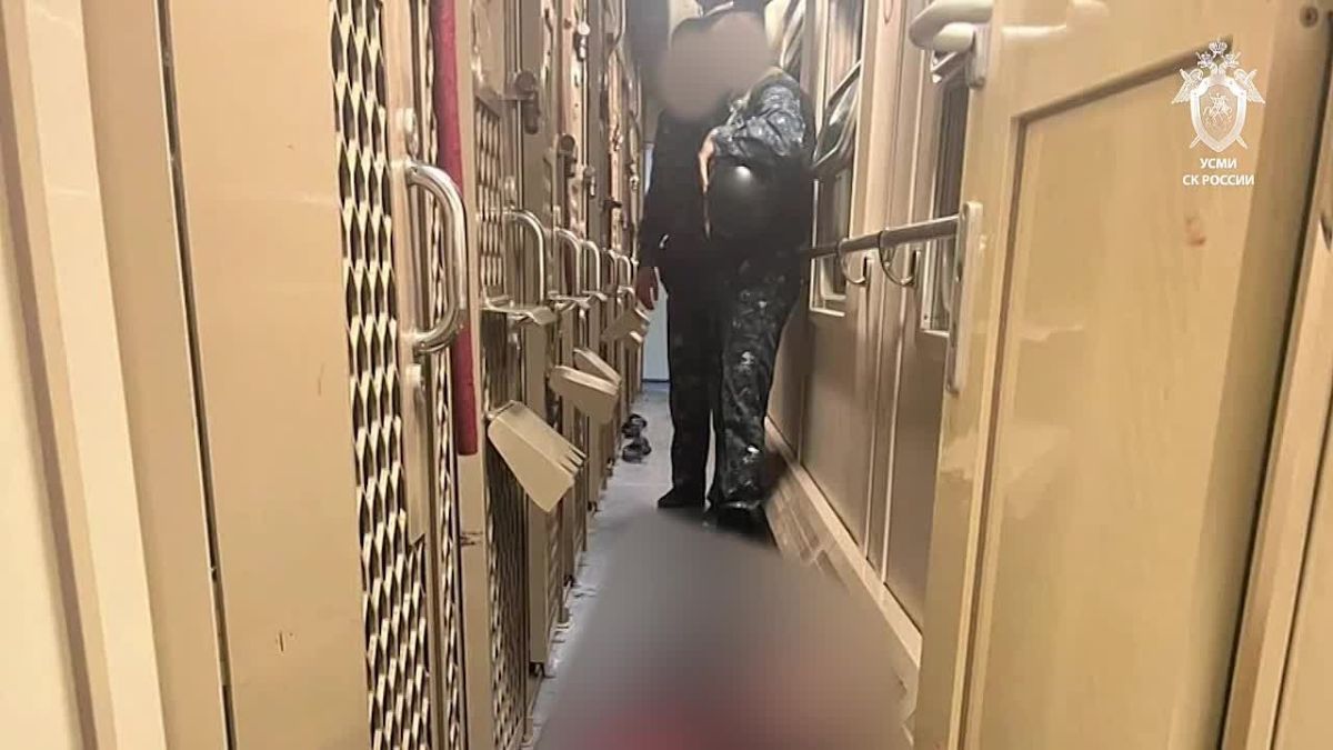 Следком показал кадры с места нападения зека на конвоиров в поезде Владикавказ-Адлер