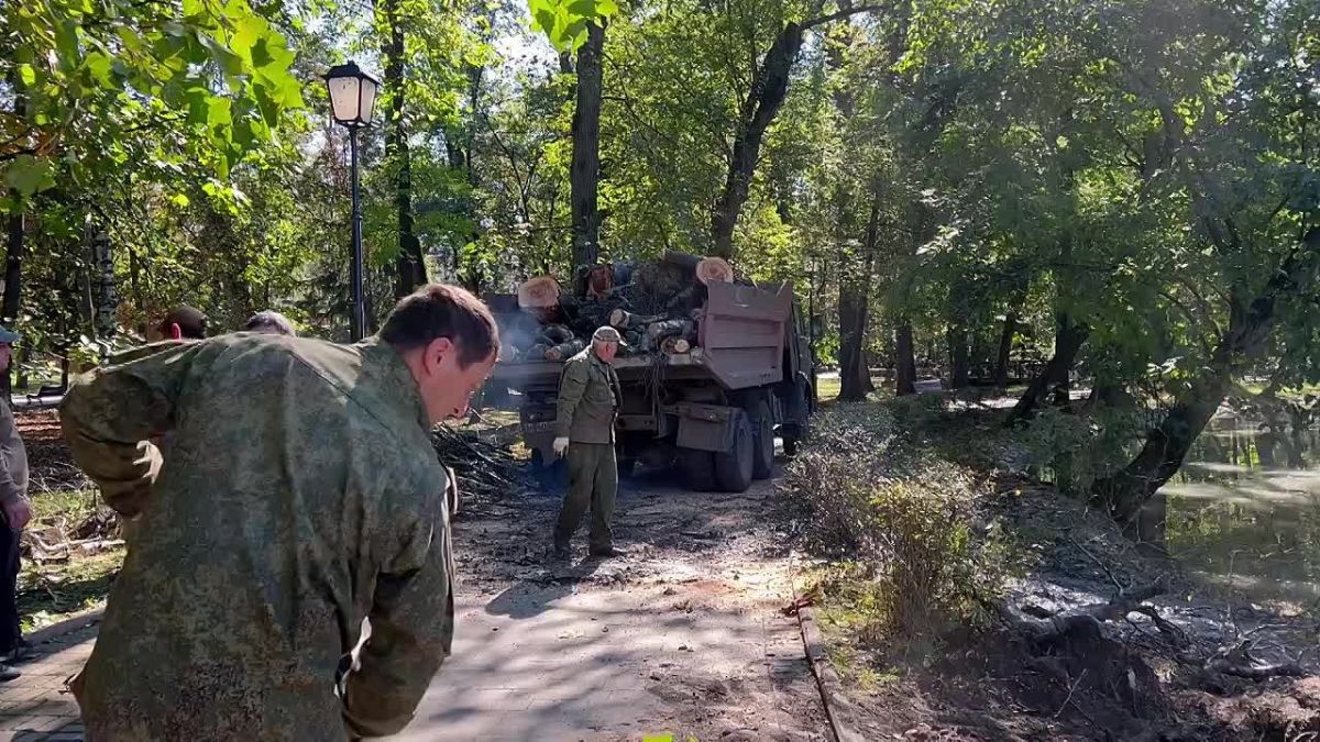 В Центральном парке культуры и отдыха им. К.Л. Хетагурова на месте упавшей берёзы посадят новое дерево Ранее в соцсетях распространилась информация, что на территории парка упала береза. Инцидент произошёл в темное время...