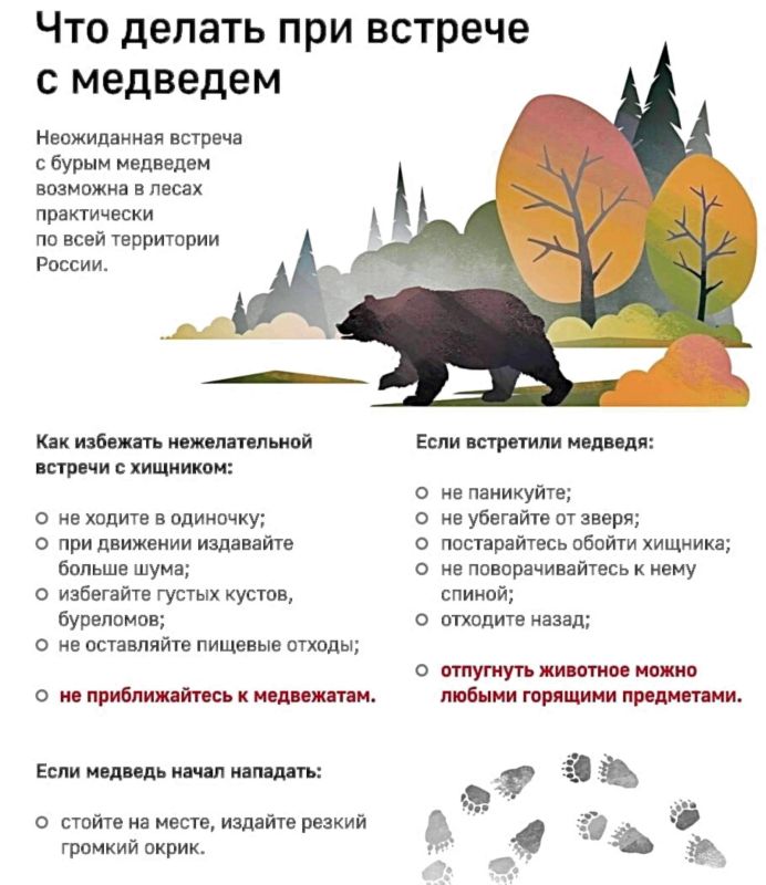В последнее время в Северной Осетии, в том числе вблизи населённых пунктов, фиксируются случаи появления бурых медведей