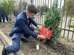 Кипарисы в честь героев. Два выпускника владикавказской СОШ №33 им. З. Калоева – Шалва Алборов и Георгий Аликов-Кастуев – погибли в ходе специальной военной операции