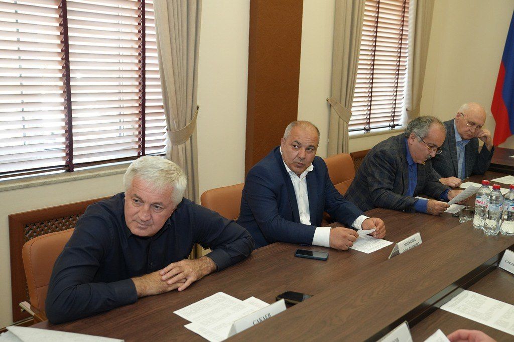Георгий Джиоев провел заседание комитета по национальной политике и делам молодежи Георгий Джиоев провел заседание комитета по национальной политике и делам молодежи
