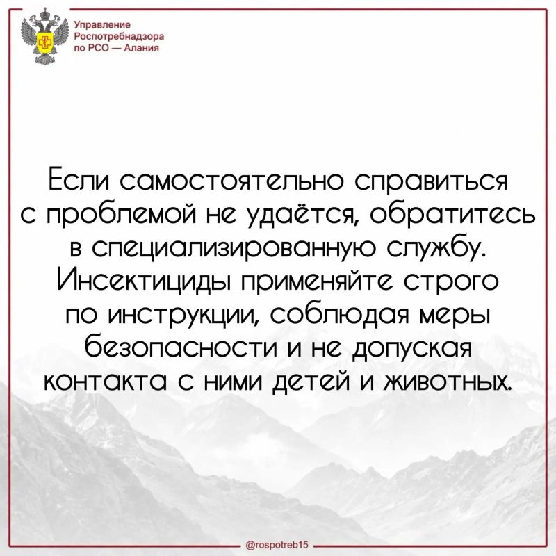 Как защитить дом от пауков и других членистоногих? Как защитить дом от пауков и других членистоногих?