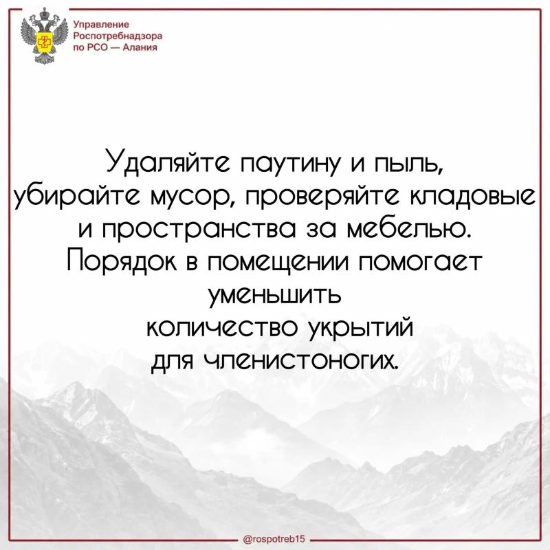 Как защитить дом от пауков и других членистоногих? Как защитить дом от пауков и других членистоногих?