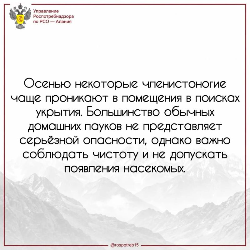 Как защитить дом от пауков и других членистоногих?