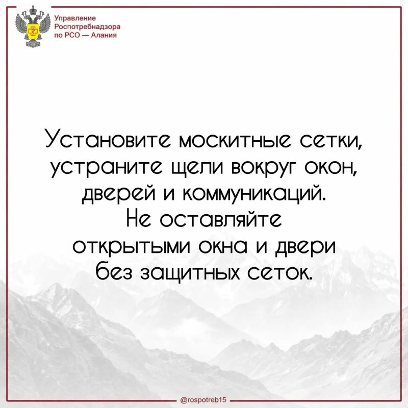 Как защитить дом от пауков и других членистоногих? Как защитить дом от пауков и других членистоногих?