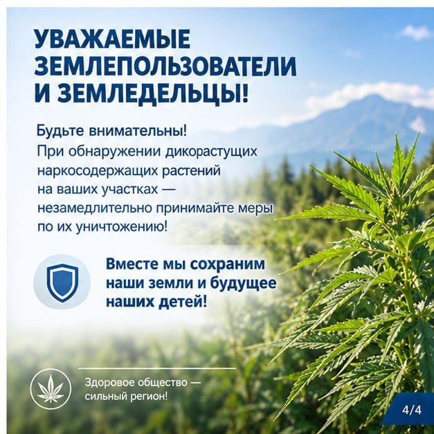 Информируем, что землепользователей и земледельцев за неприятие мер по уничтожению дикорастущих наркосодержащих растений в случаях их обнаружения на территории принадлежащих им сельскохозяйственных угодий будут привлекать... Информируем, что землепользователей и земледельцев за неприятие мер по уничтожению дикорастущих наркосодержащих растений в случаях их обнаружения на территории принадлежащих им сельскохозяйственных угодий будут привлекать...