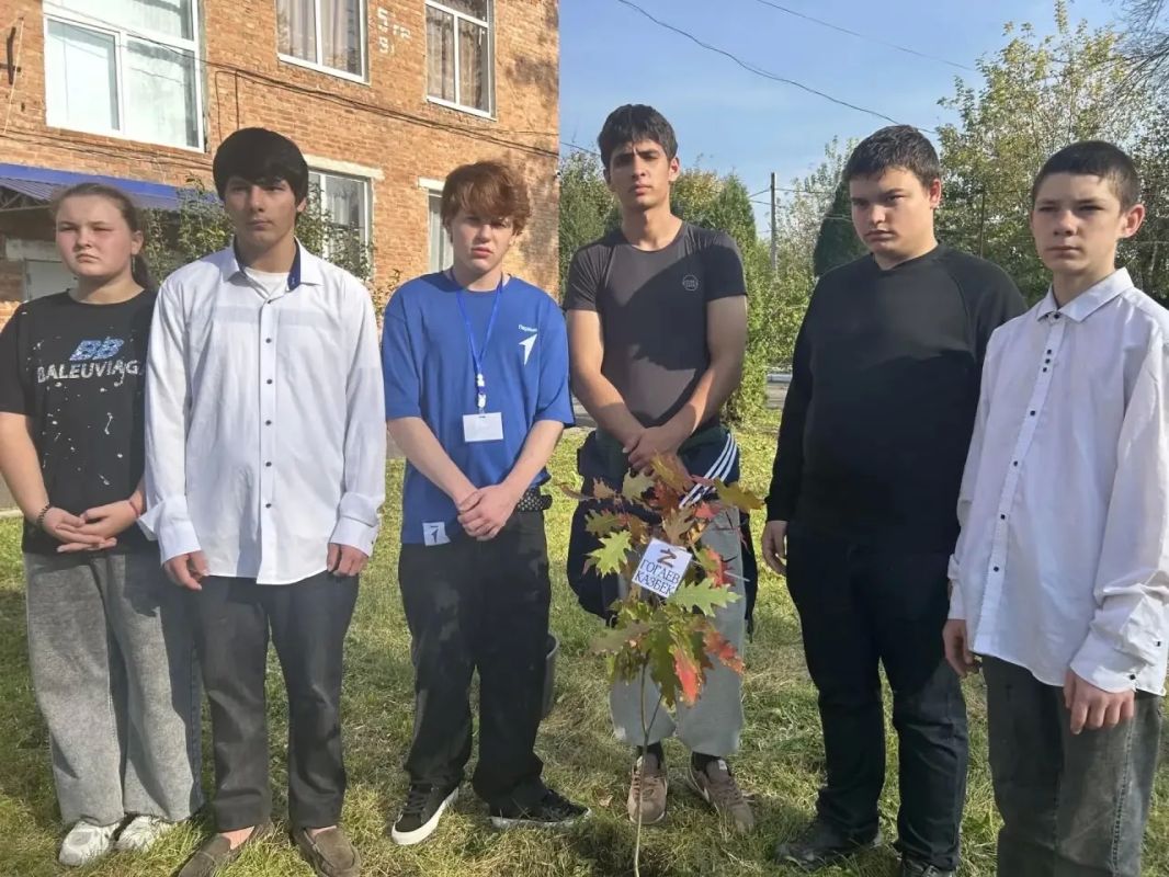 Аллея памяти: в с. Михайловское высадили 25 дубов в честь выпускников - участников СВО Аллея памяти: в с. Михайловское высадили 25 дубов в честь выпускников - участников СВО