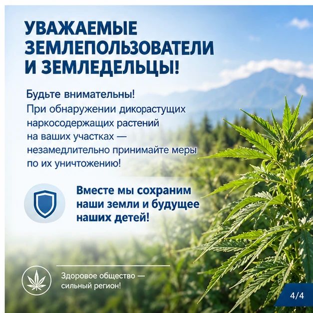 Информируем, что землепользователей и земледельцев за неприятие мер по уничтожению дикорастущих наркосодержащих растений в случаях их обнаружения на территории принадлежащих им сельскохозяйственных угодий будут привлекать... Информируем, что землепользователей и земледельцев за неприятие мер по уничтожению дикорастущих наркосодержащих растений в случаях их обнаружения на территории принадлежащих им сельскохозяйственных угодий будут привлекать...