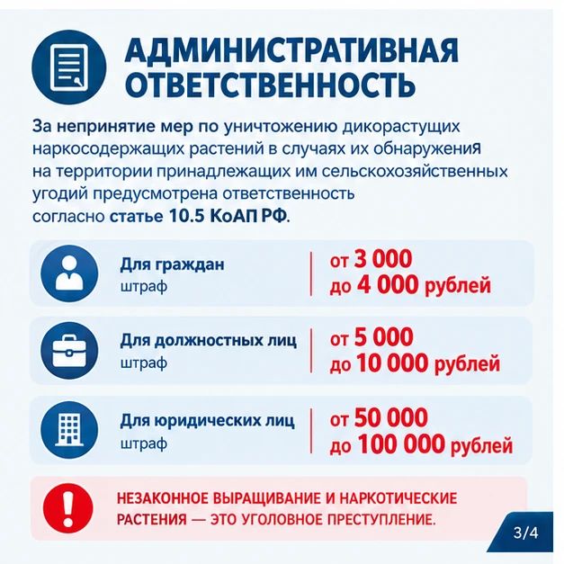 Информируем, что землепользователей и земледельцев за неприятие мер по уничтожению дикорастущих наркосодержащих растений в случаях их обнаружения на территории принадлежащих им сельскохозяйственных угодий будут привлекать... Информируем, что землепользователей и земледельцев за неприятие мер по уничтожению дикорастущих наркосодержащих растений в случаях их обнаружения на территории принадлежащих им сельскохозяйственных угодий будут привлекать...