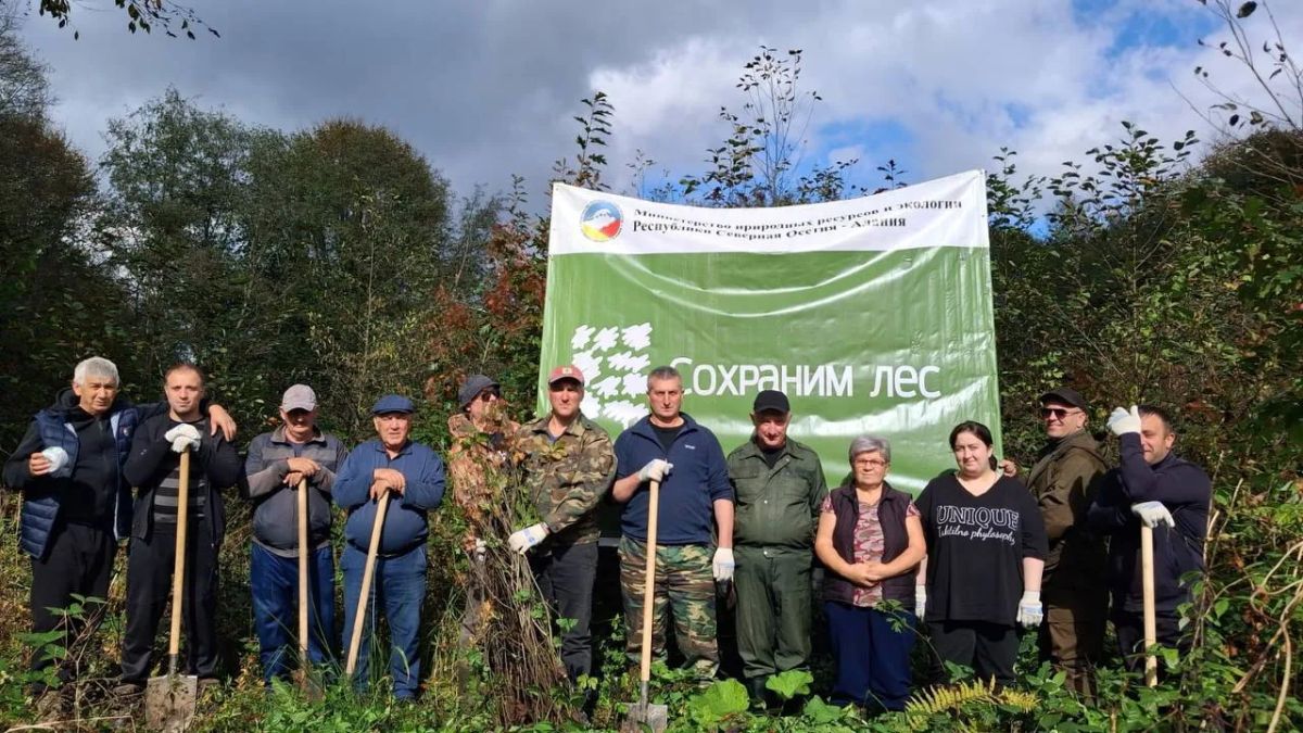 В Тарском в рамках акции «Сохраним лес» высадили 1000 саженцев дуба красного
