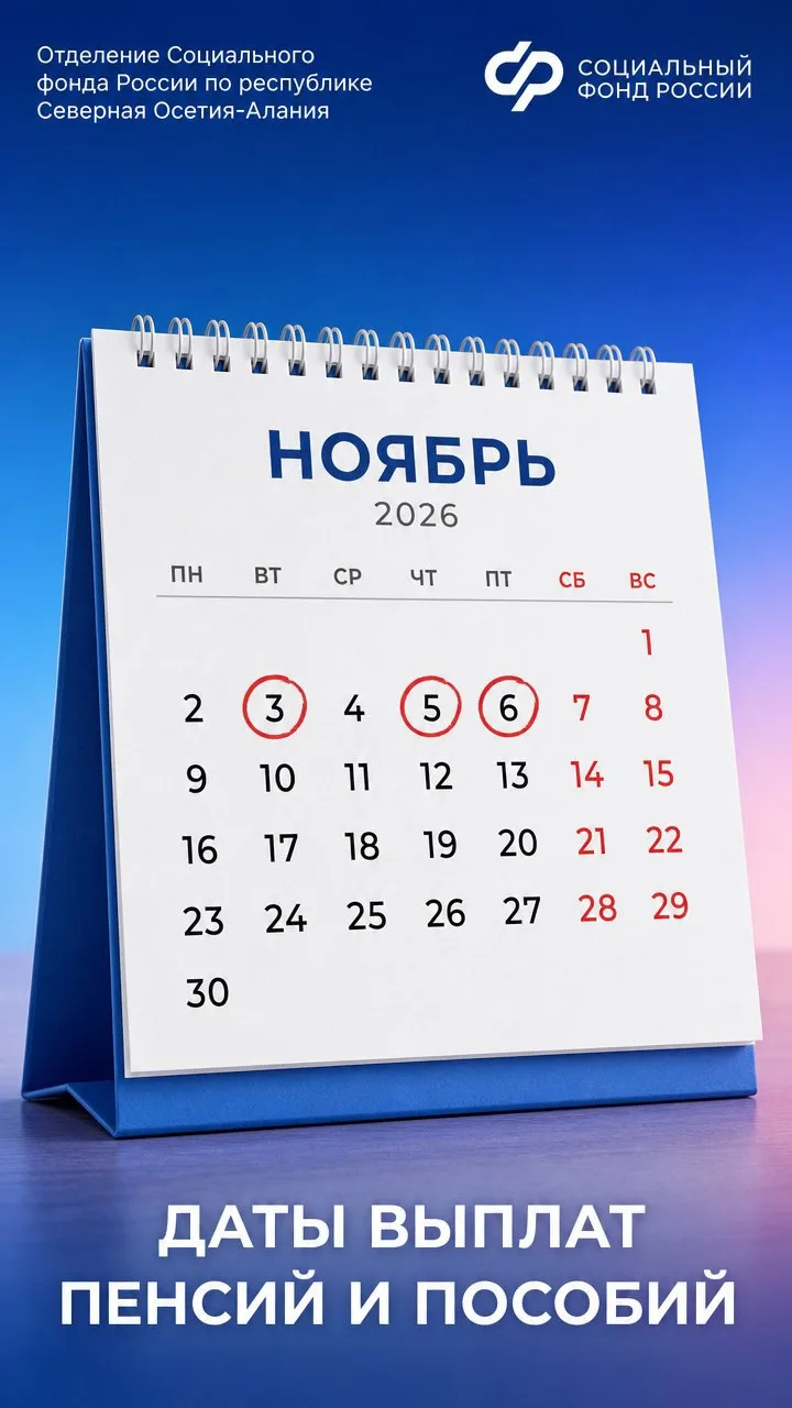 3, 5, 6 ноября – дни зачисления выплат семьям с детьми за октябрь